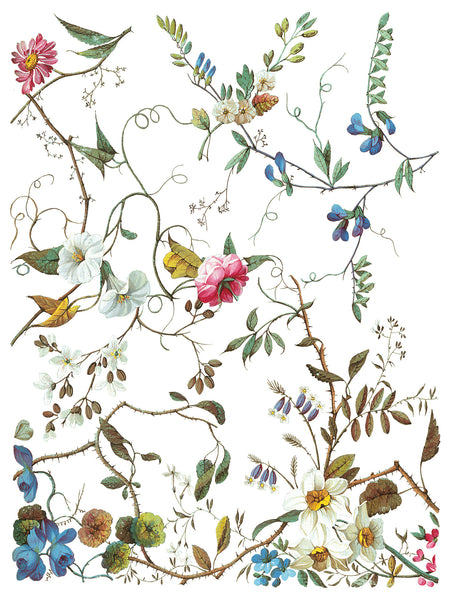 Iron Orchid Design | Transfer | Lost Garden