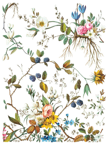 Iron Orchid Design | Transfer | Lost Garden