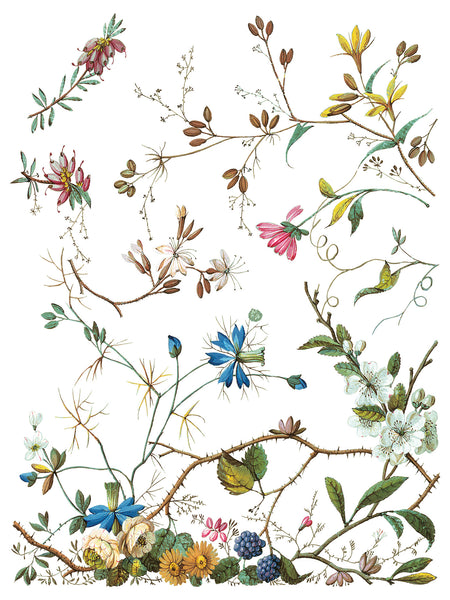 Iron Orchid Design | Transfer | Lost Garden