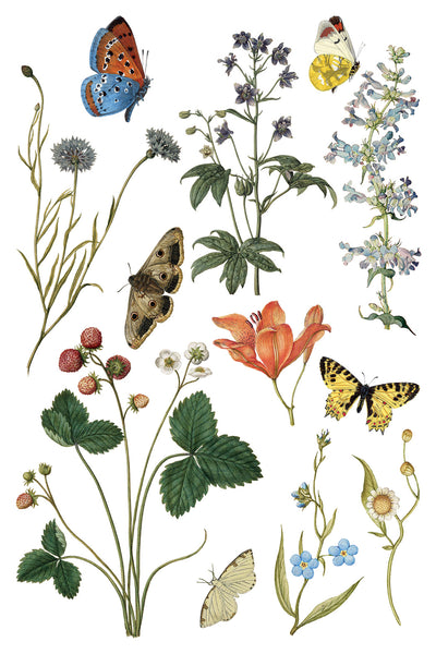 Iron Orchid Design | Transfer | Wilde Bloemen