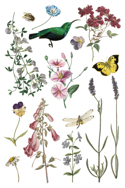 Iron Orchid Design | Transfer | Wilde Bloemen