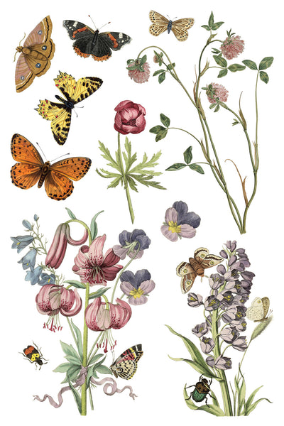 Iron Orchid Design | Transfer | Wilde Bloemen