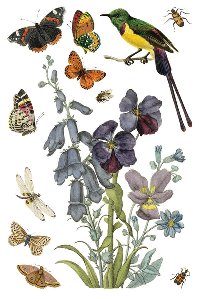 Iron Orchid Design | Transfer | Wilde Bloemen