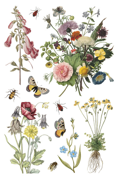 Iron Orchid Design | Transfer | Wilde Bloemen