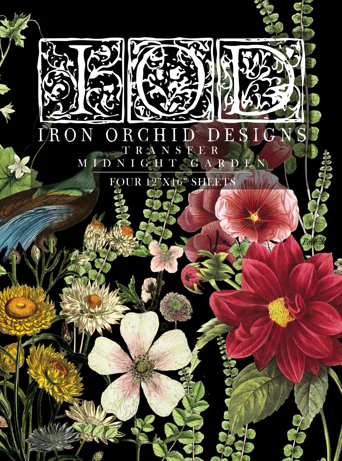 Iron Orchid Design | Transfer | Midnight Garden