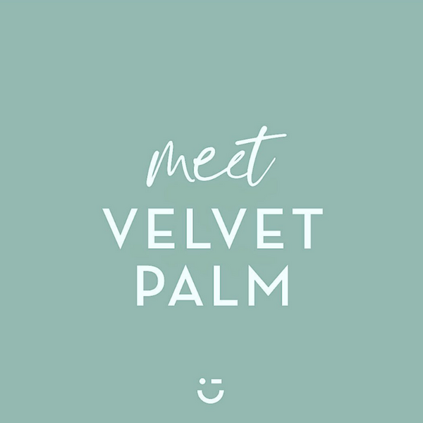 Milk Paint by Fusion | Velvet Palm